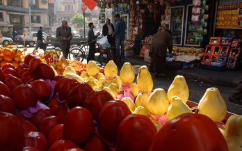 Global Summit Dialogue: Empowering cities and local governments to improve food systems globally