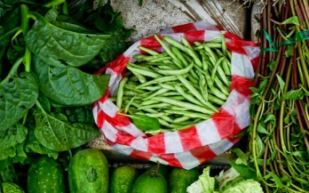 EATxUNGA - Urban Food Systems: the nutrition challenge