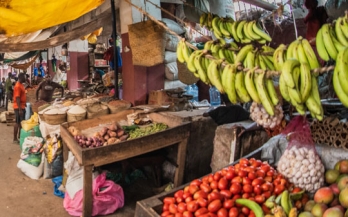 Marketplace for Nutritious Foods Project - Learning event