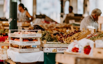 Financing the Nutrition Agenda: New Commitments, New Partnerships