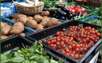 GAIN Kenya to Showcase Leadership in Financing Nutrition-Sensitive Food Systems at FINAS 2026