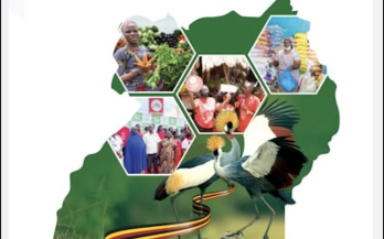 National Catalytic Stakeholder Consultation on the Review of the Uganda MSME Policy (2015) and the National Standards and Quality Policy (2012)