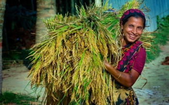 Building Businesses with Nutrient Enriched Crops
