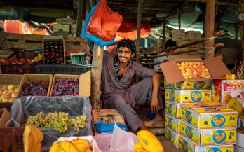 The Food Systems Countdown Initiative: Assessing Performance, Driving Change