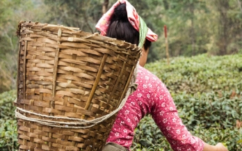 Private Sector Nutrition Action: Data to inform commitments on Supply Chain Workforce Nutrition