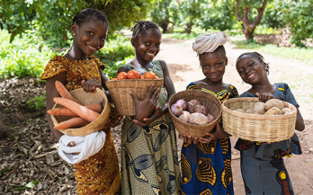 UN Food Systems Summit Stocktake (UNFSS+4)