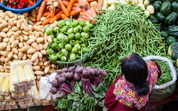 Achieving healthy diets for all: What are the gaps constraining progress?