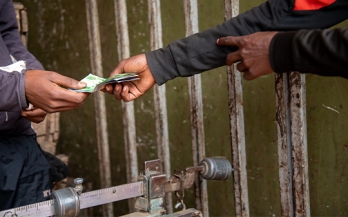Trade-offs or Trade-ups? Policy Coherence between Fostering Trade and Improving Nutrition