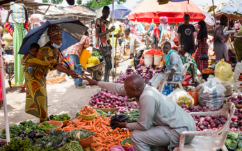 The Nutritious Foods Financing Facility (N3F): Pioneering Nutrition Financing