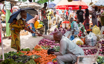 The Nutritious Foods Financing Facility (N3F): Pioneering Nutrition Financing 