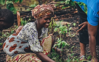 Nine more harvests to transform our food systems: let’s make them count for everyone, everywhere, and for all time