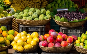 Food systems: the outrage deficit