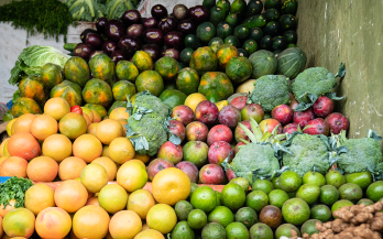 United Nations embraces a healthy diet indicator towards zero hunger and malnutrition