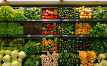 Safe, nutritious food is everyone’s business