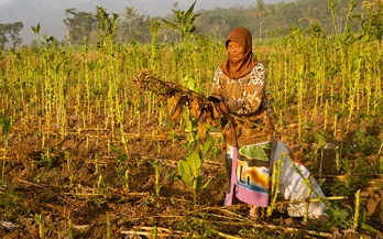 GAIN Interview Cruncher - How climate change threatens nutrition and food security – and what we can do about it?