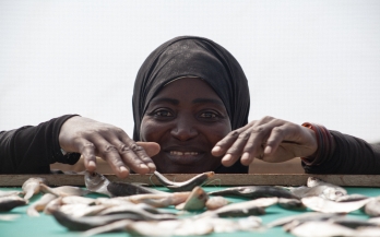 From sand to solar tent