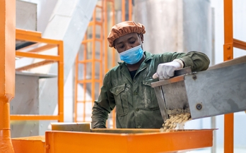 What is Large Scale Food Fortification (LSFF)?