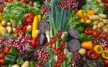 What does food system transformation mean?