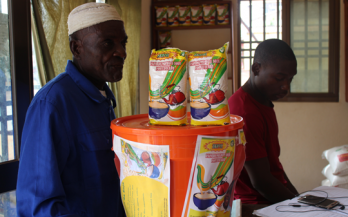 Fortifying for the future: GAIN supports small food processors in Mozambique 