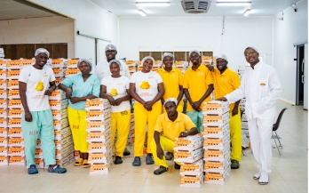 Strengthening Family-Led Business Governance: Lessons from Two N3F African Poultry Portfolio SMEs
