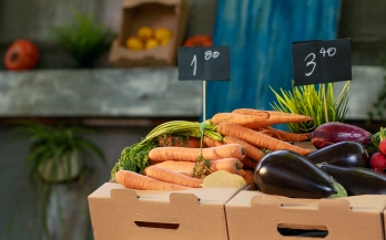 Latest Review Series reveals USD 11 Trillion Bill in Food System’s Hidden Costs, a Significant Underestimation 