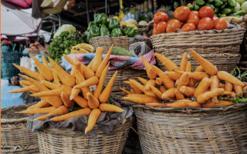 Steps Toward Progress Micronutrients – GAIN supports Ethiopian Government in Accessing premix Input