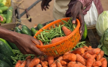 The UN Food Systems Summit – Voices from around the Globe - Nigeria