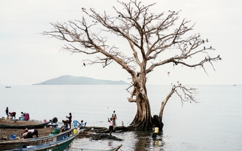 Story 4: The Importance of Increasing the Resilience of Food and Nutrition Security to Climate Change