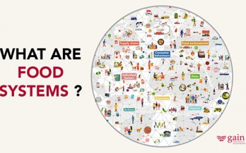 What are food systems?