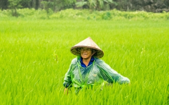 Empowering women throughout the food supply chain