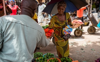 UNFSS Stocktaking Series - Wrap Up