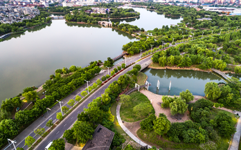 Better Food Systems for Healthier Cities