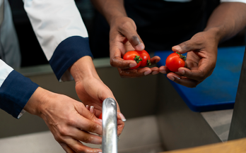 Fostering a Culture of Food Safety