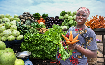 From Policy to Plate: How Malawi is transforming Food Systems 