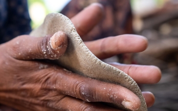 Large Scale Food Fortification