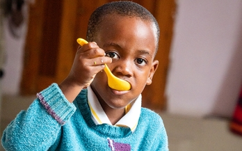 Increasing the consumption of nutrient-dense foods through schools in Tanzania