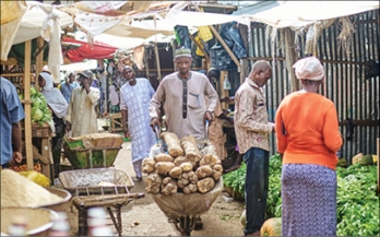 Food Safety, Traditional Markets, and Consumer Demand in Low- and Middle-Income Countries: A Landscape Synthesis