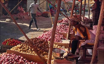 Food Safety Hazards and Risk Associated with Fresh Vegetables: Assessment from a Traditional Market in Southern Ethiopia