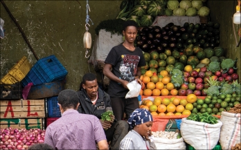 Food safety-related perspectives and practices of consumers and vendors in Ethiopia: A Scoping Review