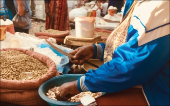 Food Safety Perceptions and Practices in Ethiopia: A Focused Ethnographic Study