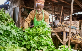 DELIVER Nigeria Project Update