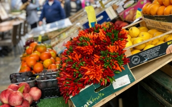 Making Markets Work to improve the consumption of nutritious and safe food
