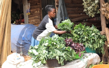 Final Report I-CAN: Landscaping Analysis On Climate And Nutrition Policies In Uganda.