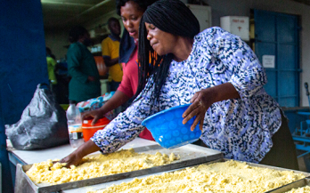 Commercialising Biofortified Crops