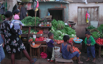 The Global Alliance for Improved Nutrition (GAIN): a decade of partnerships to increase access to and affordability of nutritious foods for the poor