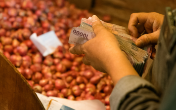 GAIN Working Paper n°42 - Investing in Nutrition: Understanding Barriers and Potential Solutions for Development Finance Institutions