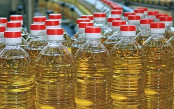 Ethiopia edible oil industry mapping