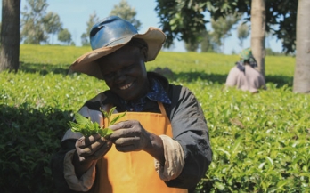 Baseline survey report on home fortification with micronutrient powder (MNP) in Nairobi county, Kenya