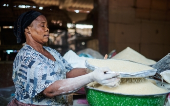 Nourishing Progress: Three Years of Action on WHA76.19. Accelerating Efforts to Prevent Micronutrient Deficiencies and Their Consequences Through Safe and Effective Food Fortification