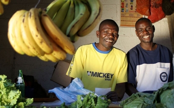 Cultivating nutritious food systems: a snapshot report